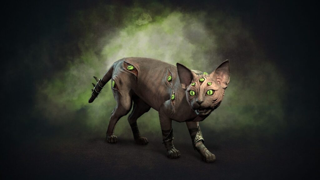 猫の「アイリス」